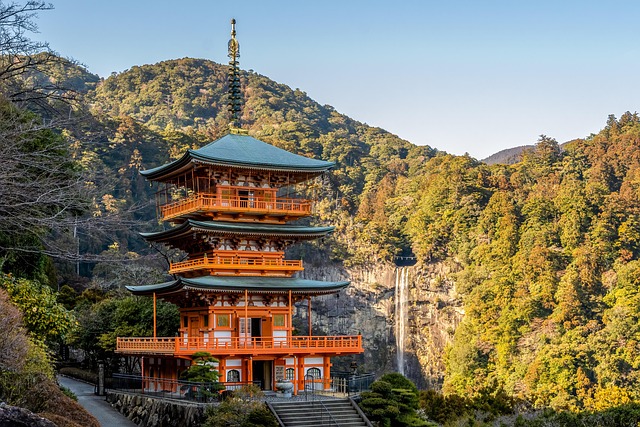 鯛だけじゃない！和歌山市加太の知られざる...